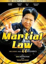 Martial Law - Der Karate Cop